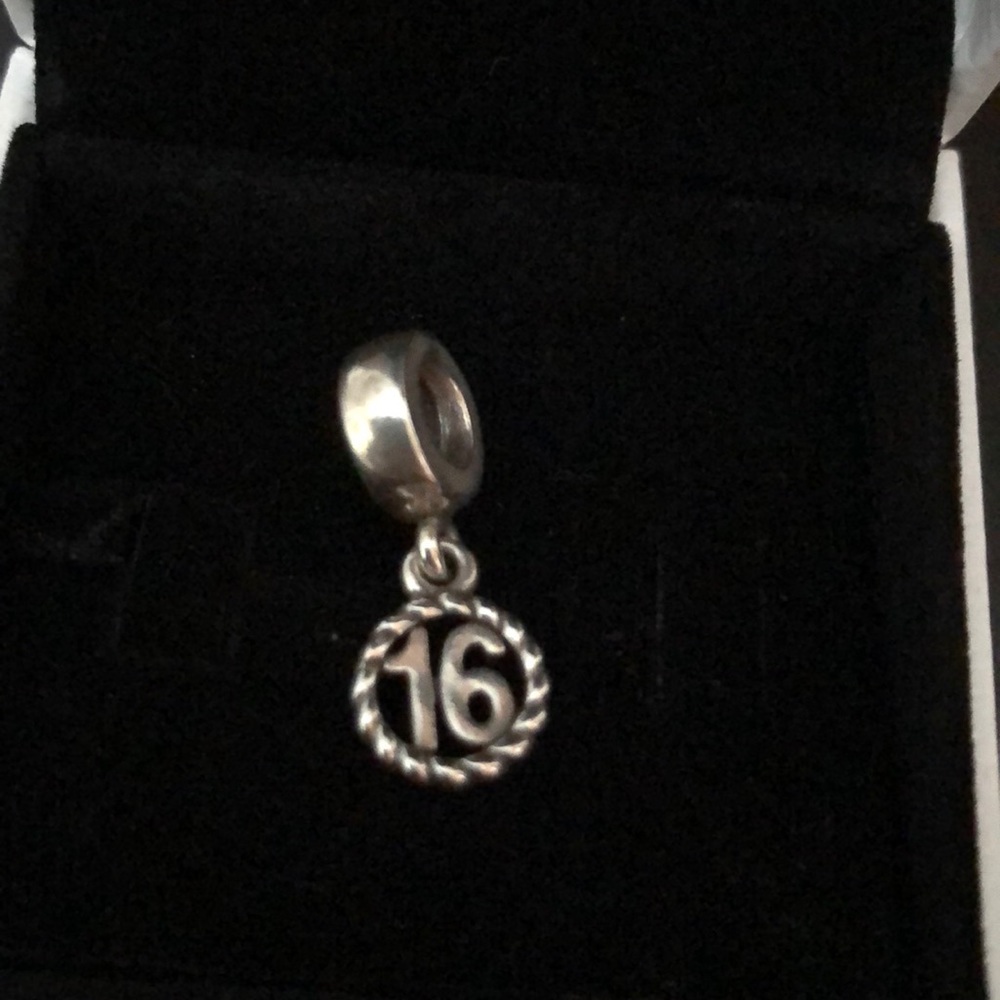 ✨Pandora Charm 16